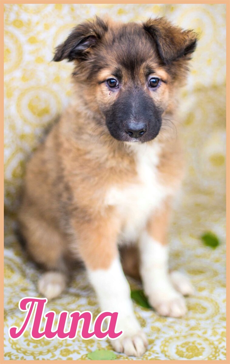 Такой её оставили у ворот приюта