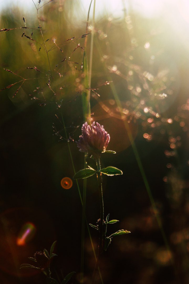 Россия, Свердловская обл. г. Екатеринбург 