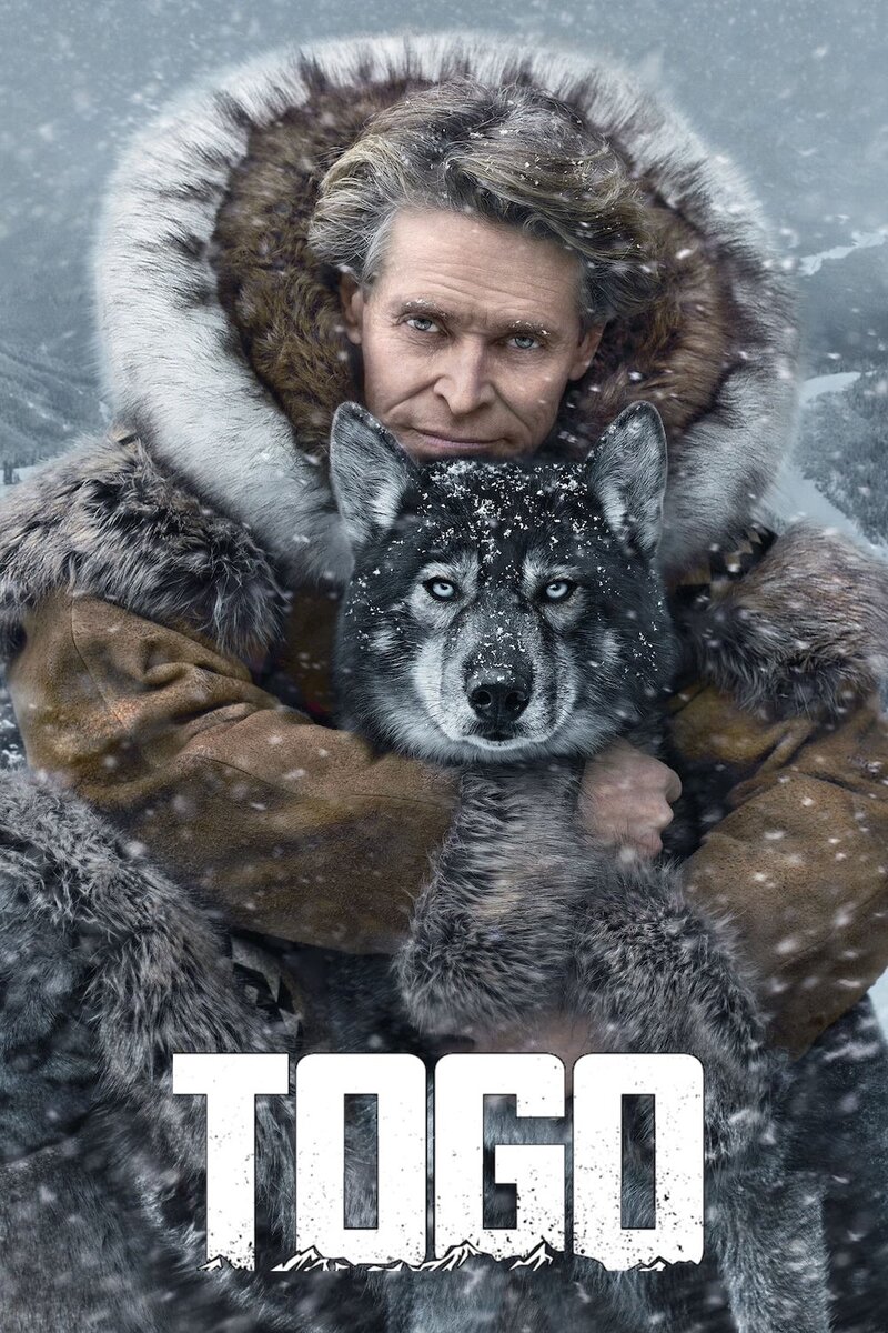 Того, 2019

Кинопоиск: 7.94 
IMDb: 8.10

Пёс Того в 1925 году помог предотвратить эпидемию дифтерии в городе Ном, Аляска. В упряжке с другими ездовыми собаками Того, несмотря на страшные погодные условия, смог доставить в город посылку с антитоксином, остановившим распространение болезни.