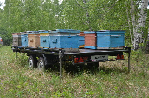 Какой прицеп подойдет для перевозки пчел