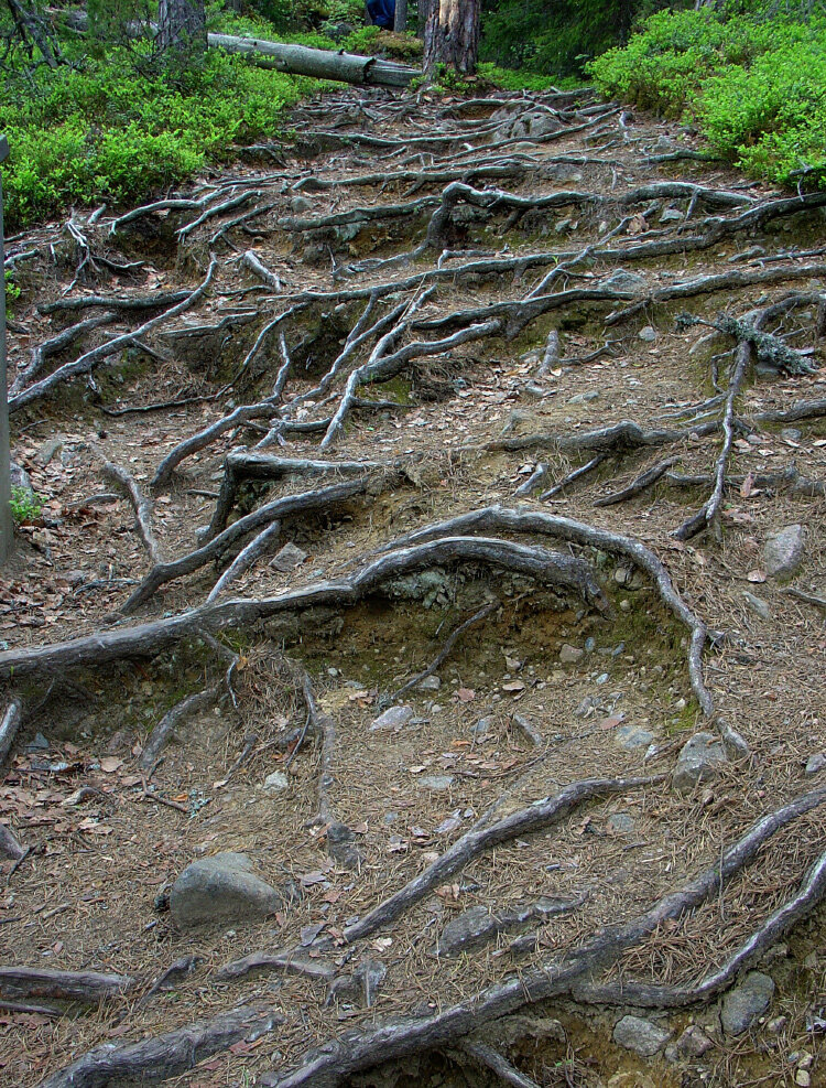 Фото: Александра Сторожук