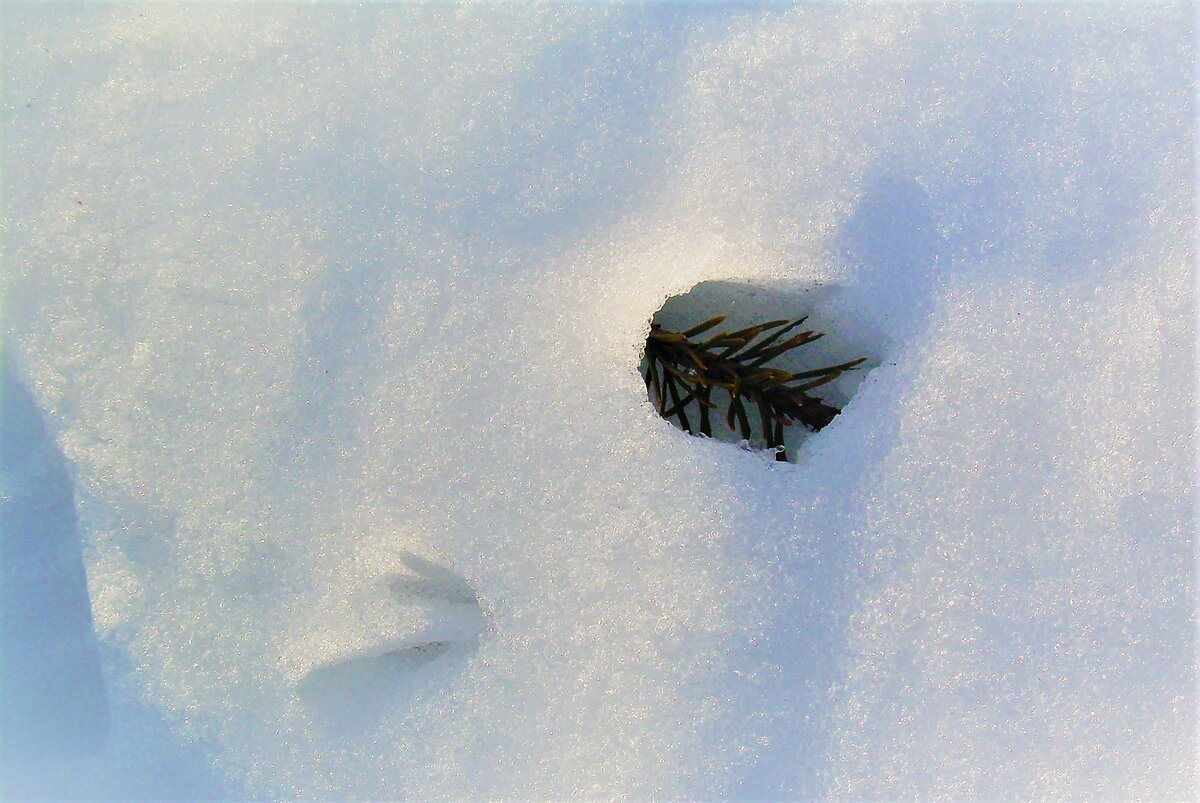 Фото из личного архива