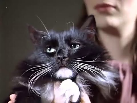 фильм  «Чародеи»