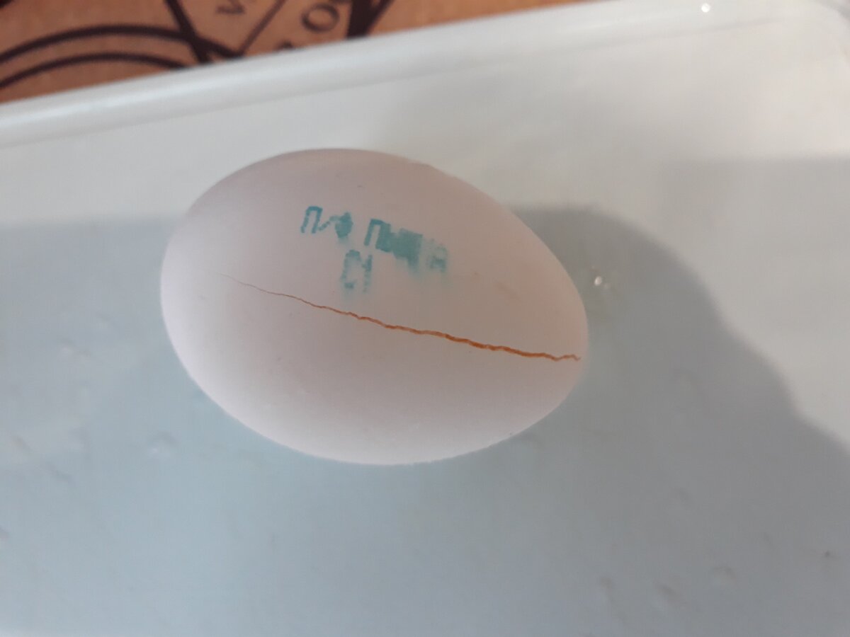 Замороженное яйцо