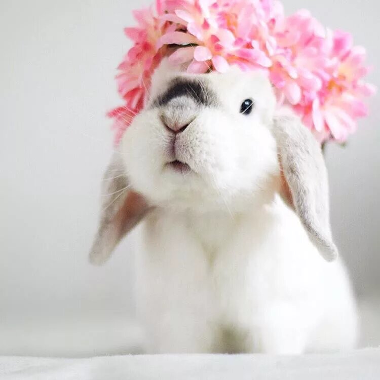 Остара 21 марта.