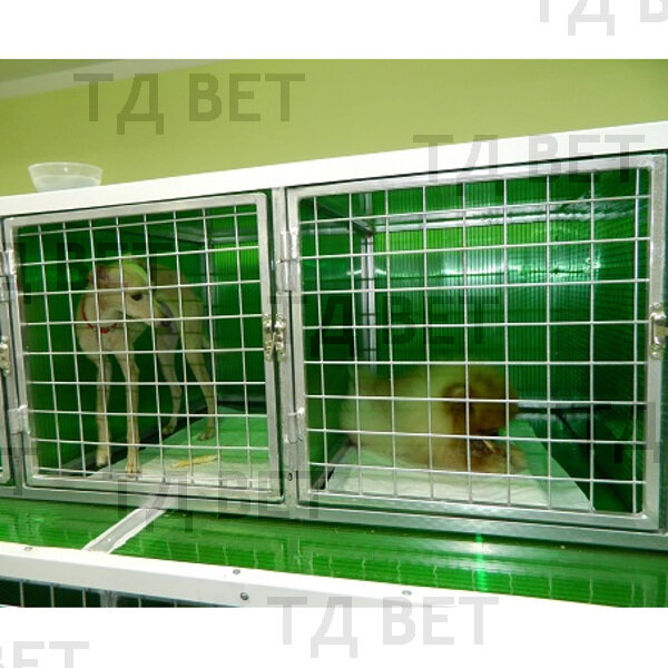 Фото: https://aibolit-k.blizko.ru/articles/73643