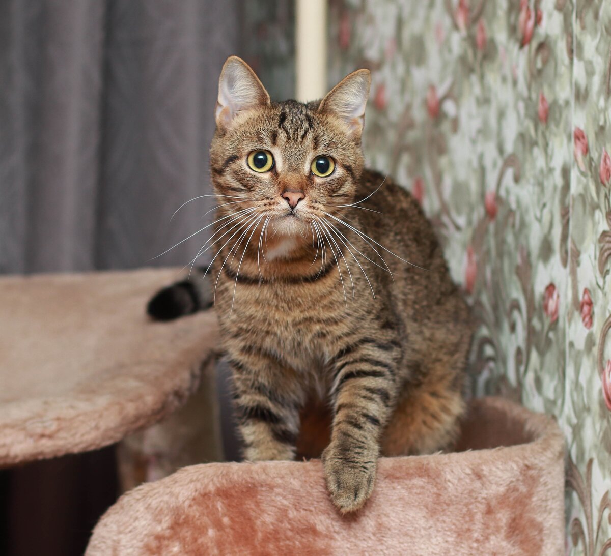 Если его полюбить, то он ответит вам в стократ больше!