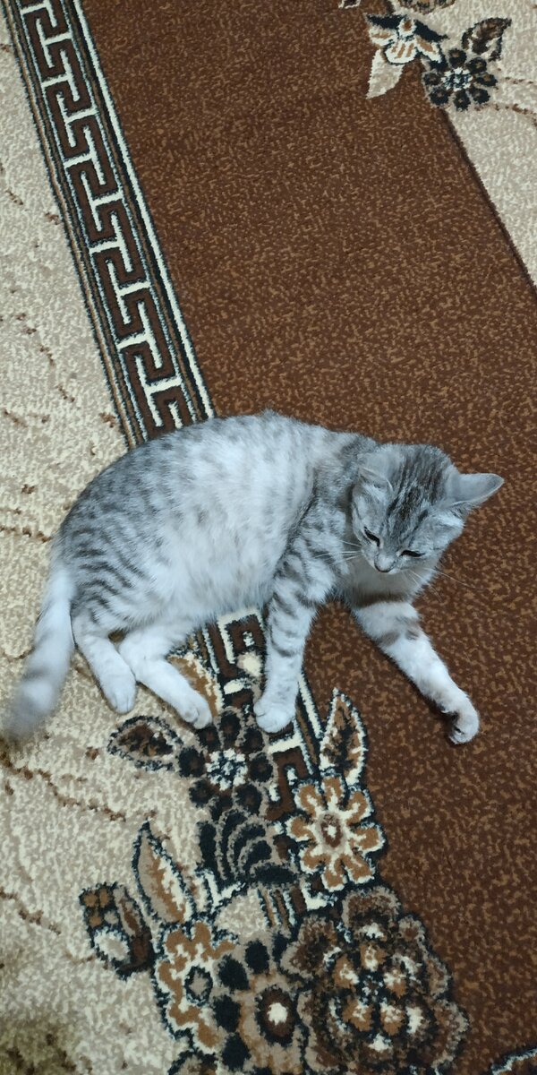 Красавица)))