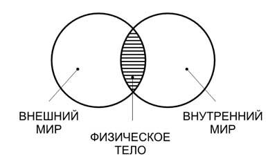 Схема психологии человека