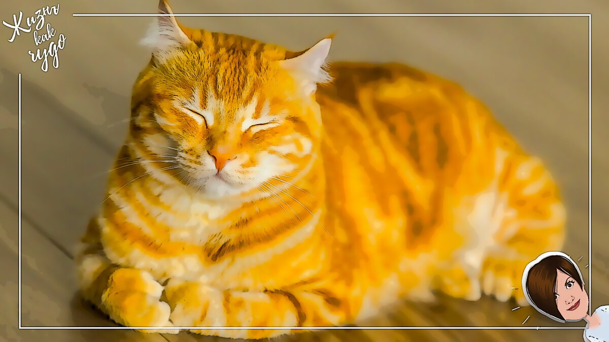 Буду благодарна за ваши лайки и подписки, потому что вы поможете развитию канала :) 