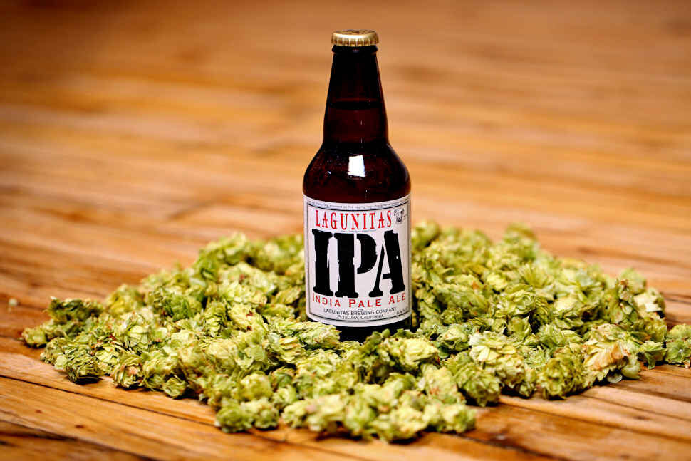 Один из представителей IPA