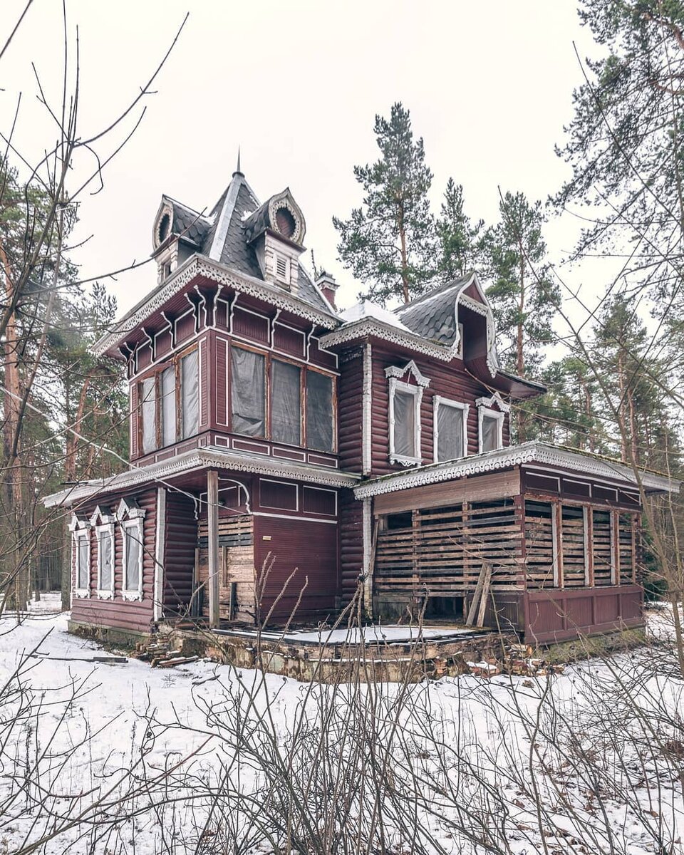 Дачи питер фото