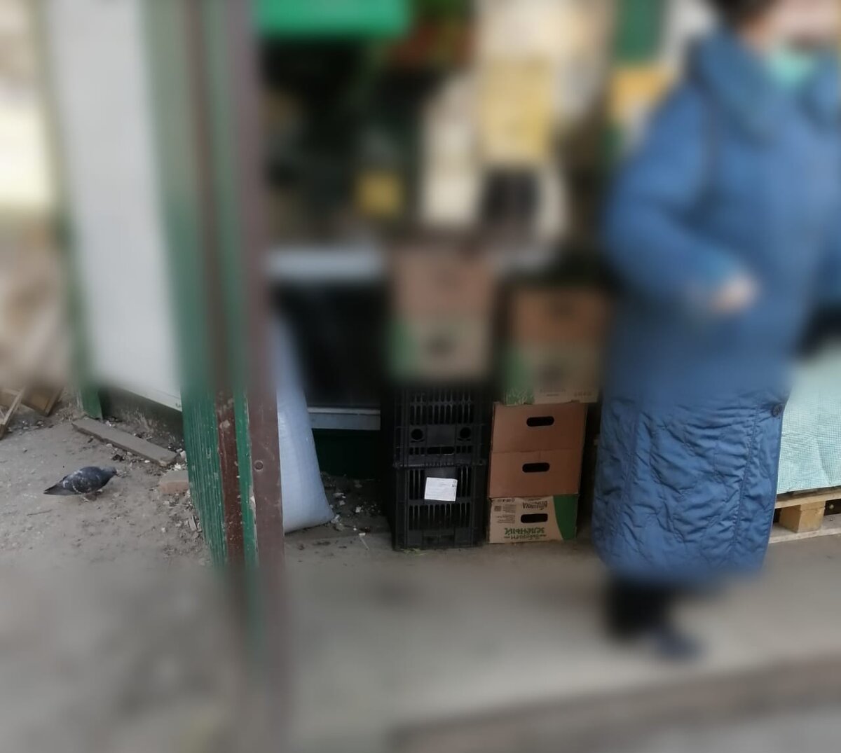 А голубь в ожидании ухода бабульки не терял времени и что-то нашел