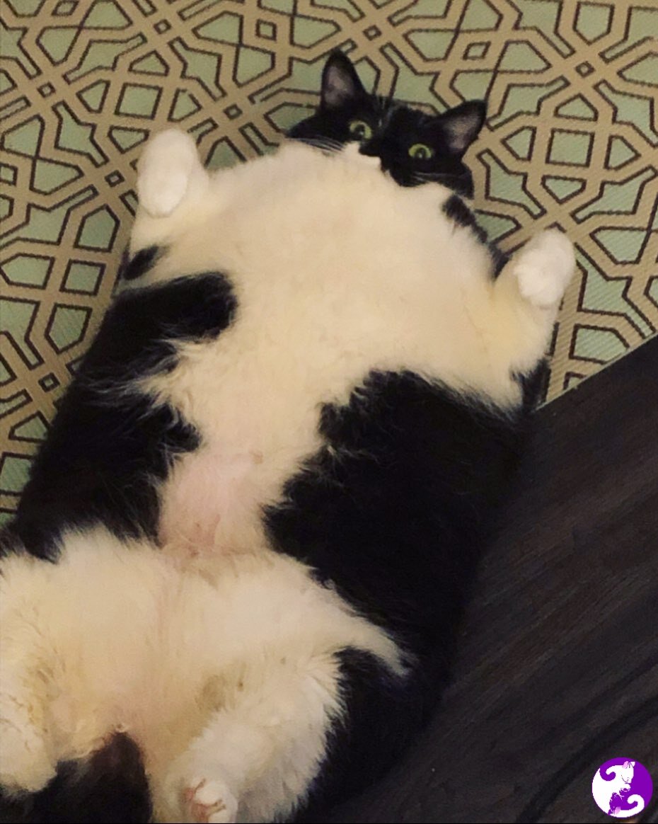 Источник: Yandex