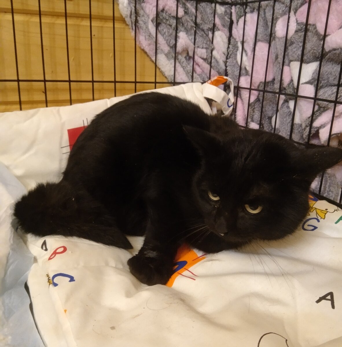 Первый день у нас