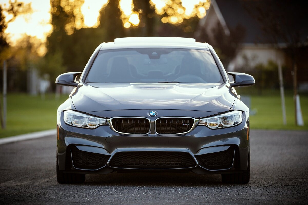 Фото: pixabay.com