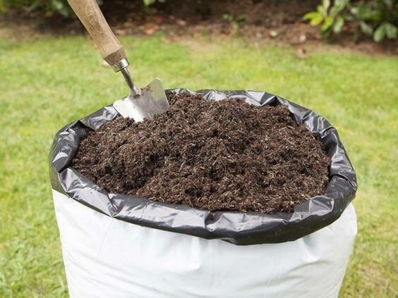 Фото: https://i.pinimg.com