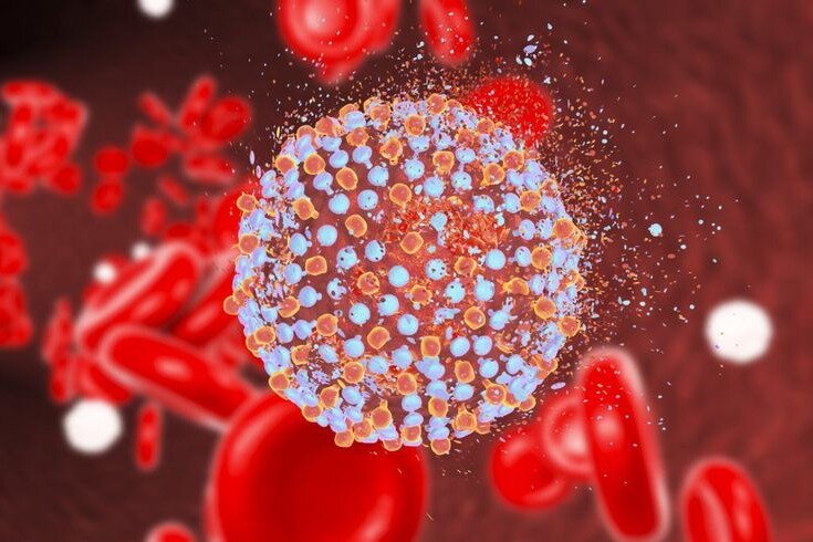 COVID-19 лечит сам организм