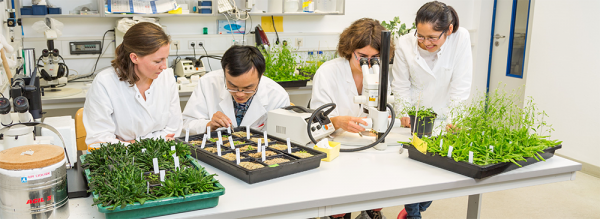 https://tuebingenresearchcampus.com/assets/Uploads/_resampled/ResizedImage600219-PlantsBanner.png