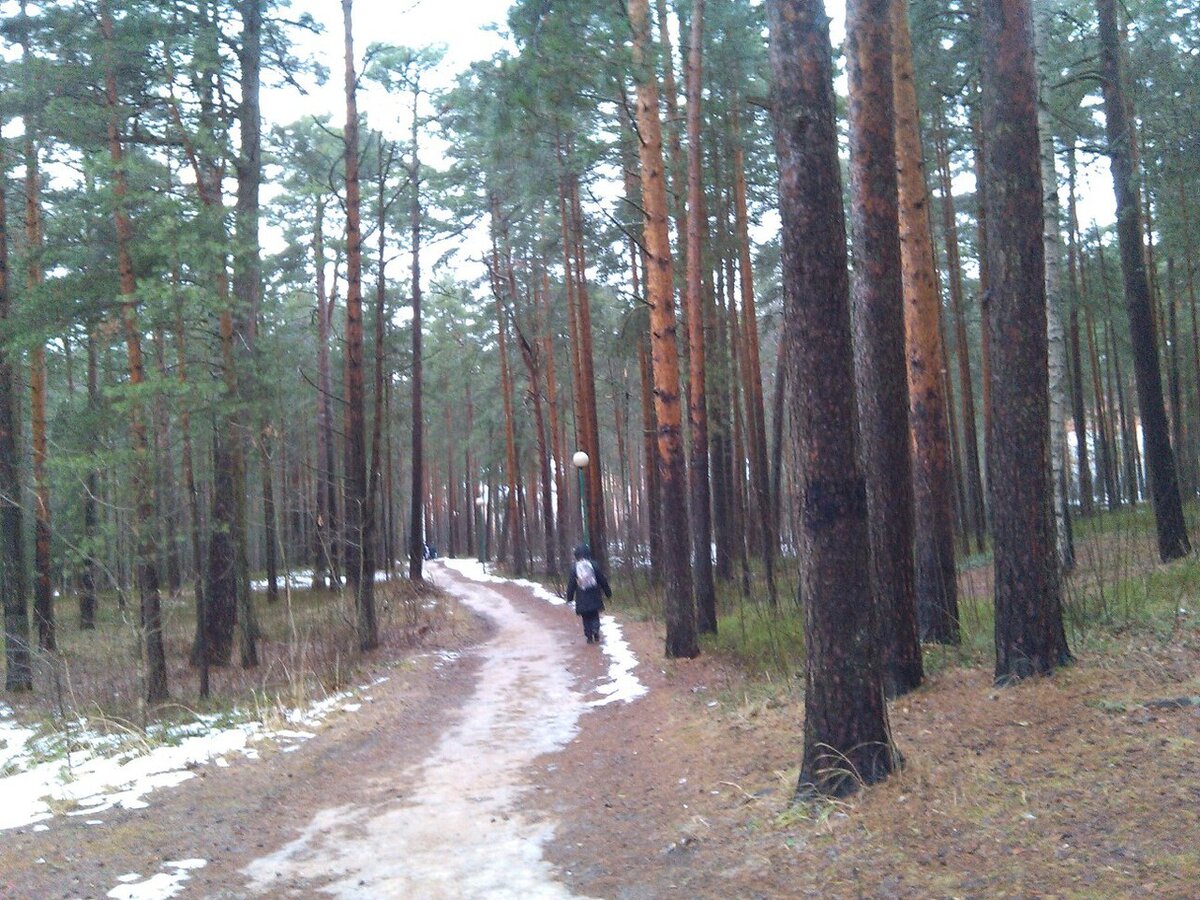 Парк санатория "Сестрорецкий Курорт"