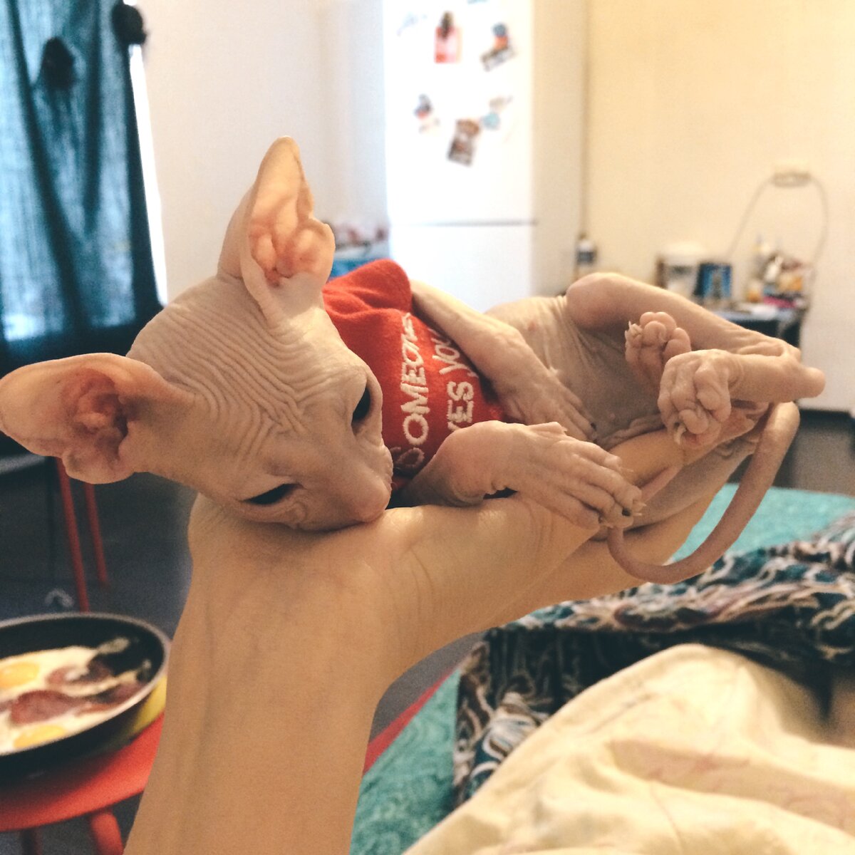 Мой крошка в ладошке