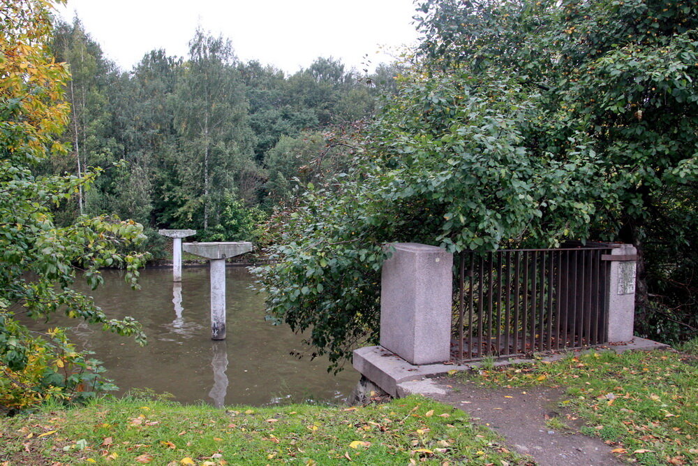 Сентябрь 2019 года. Фото Дмитрия Ратникова