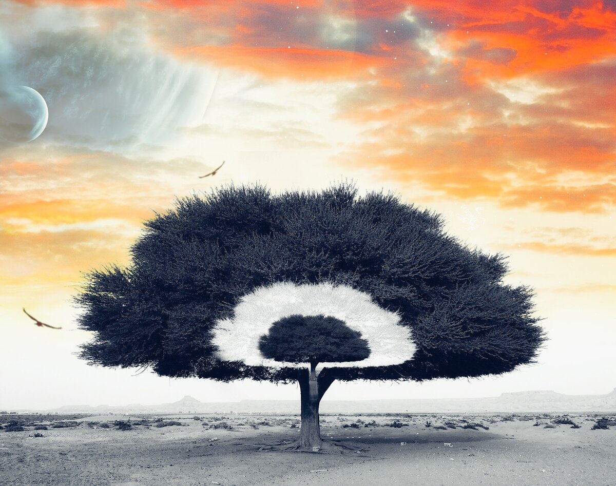 Изображение из открытого источника.