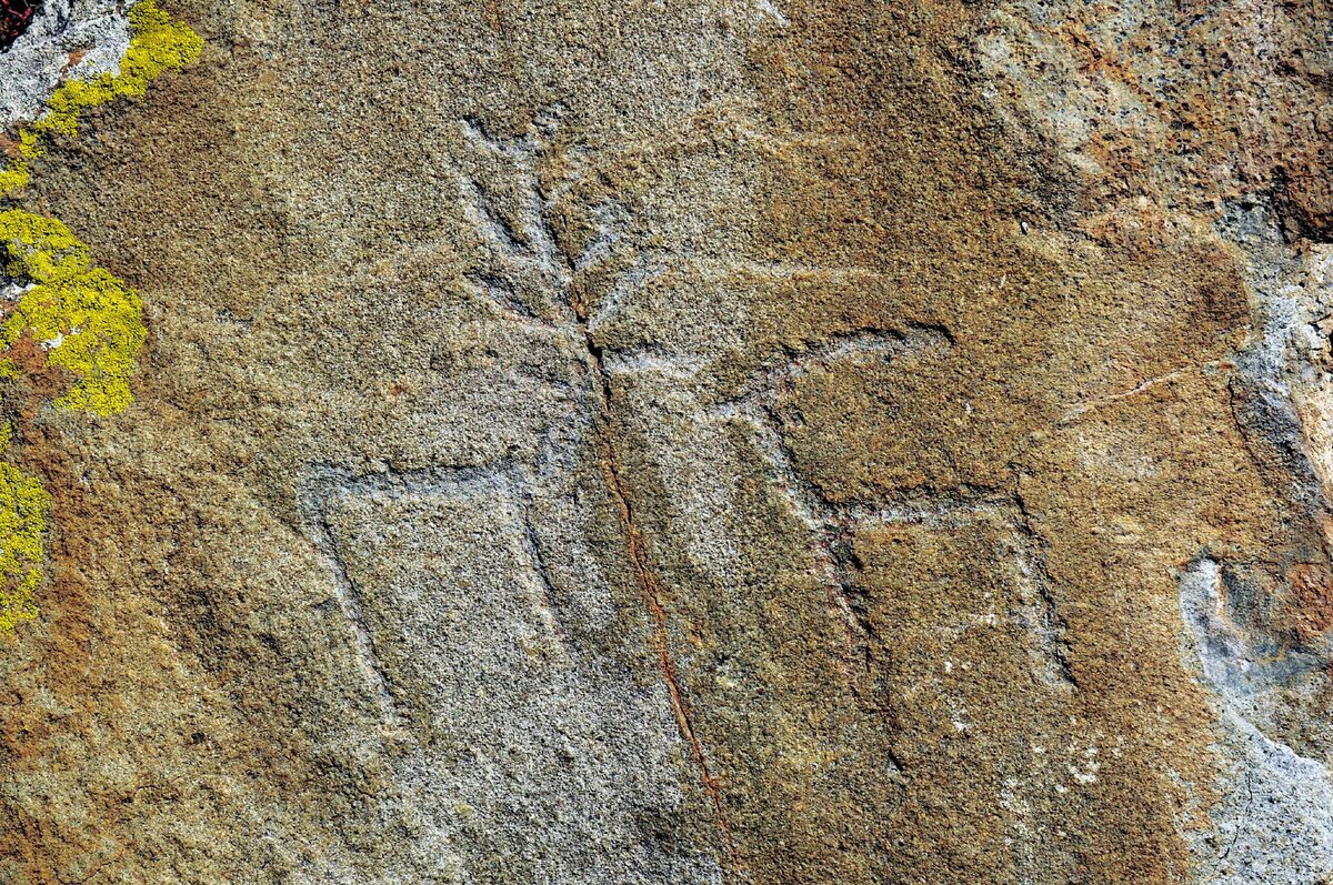 фото ольга шадрина