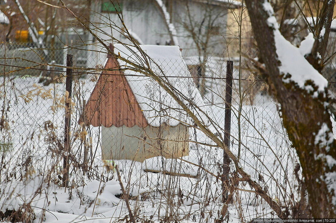 Деревенский дневник последнее видео