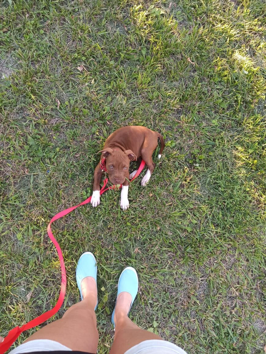 то фото сделано через 2 дня на прогулке.