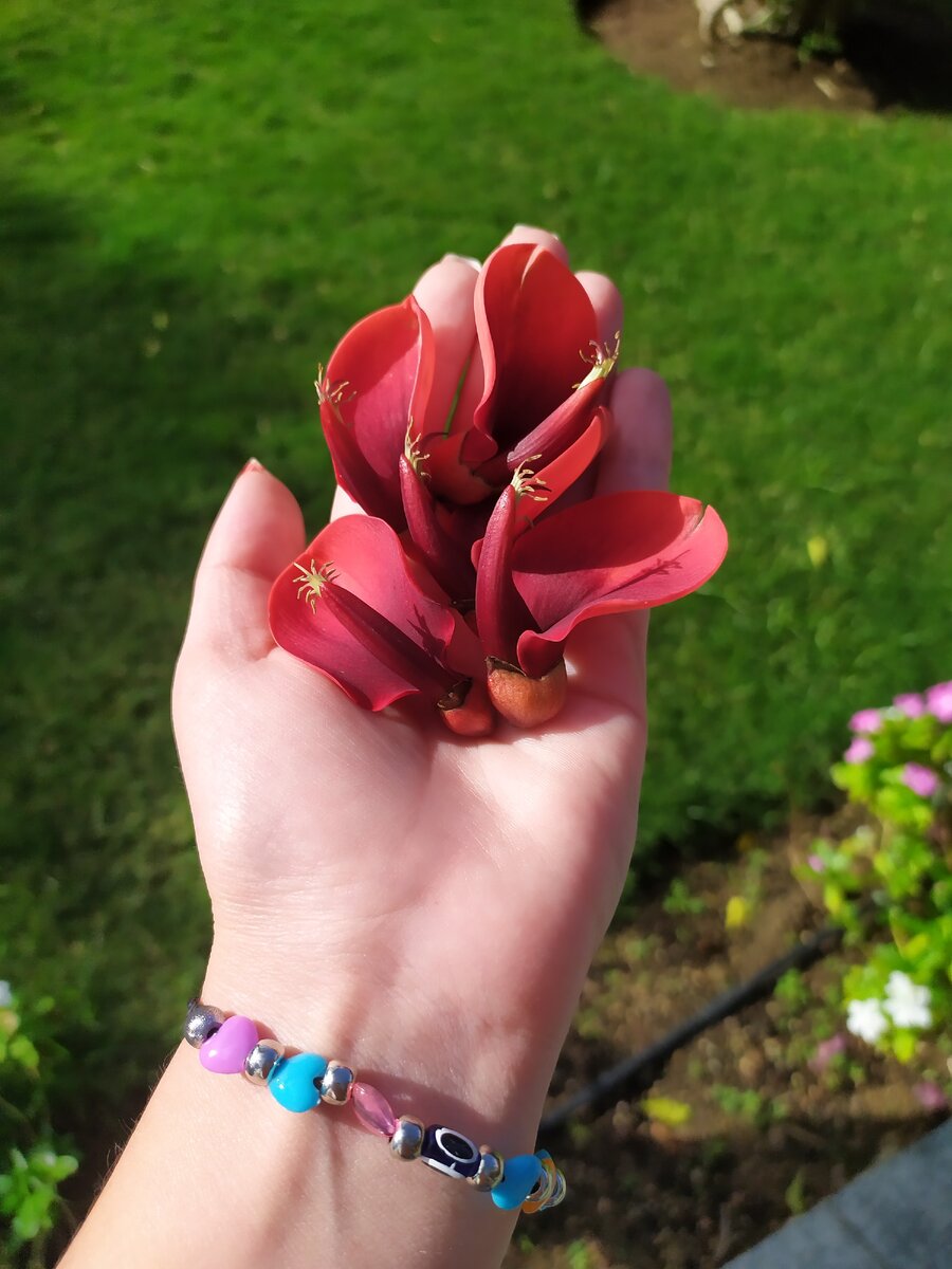 Фото из личного архива