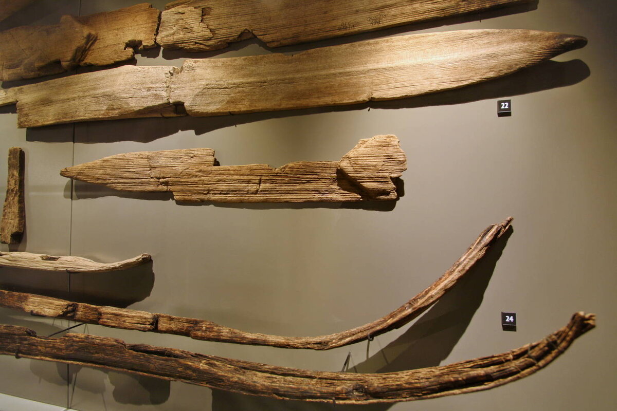 Первые лыжи