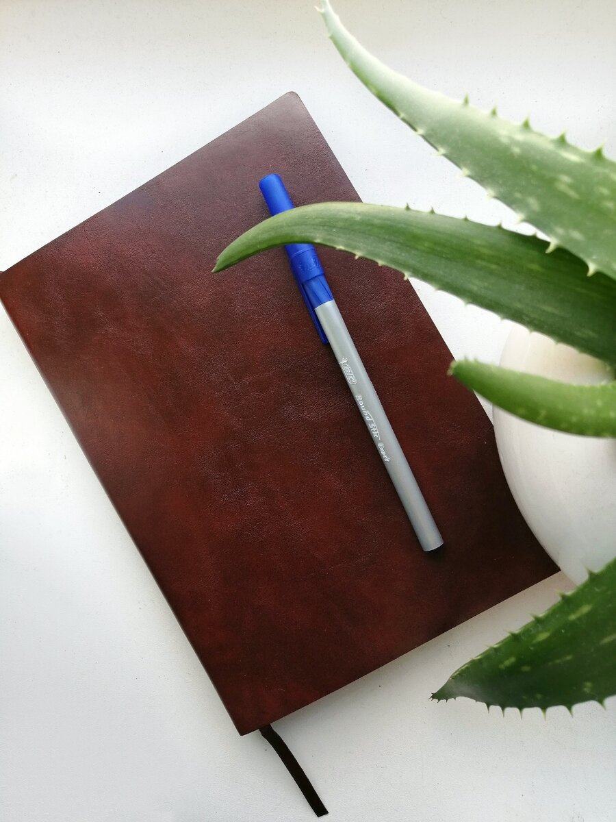 Датированный ежедневник