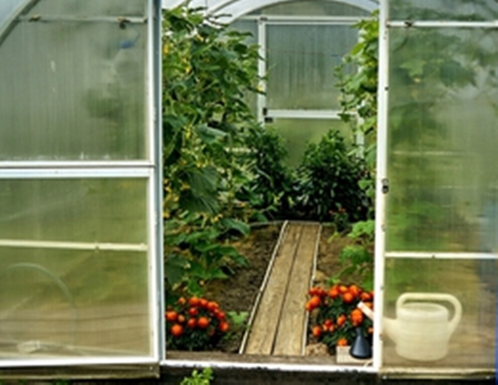 июнь 2020 года