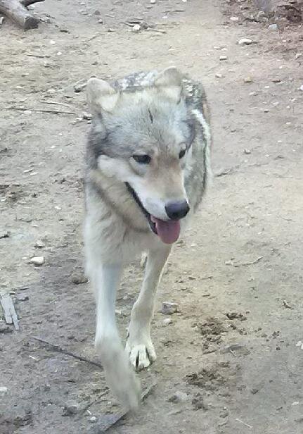 фото из личного архива