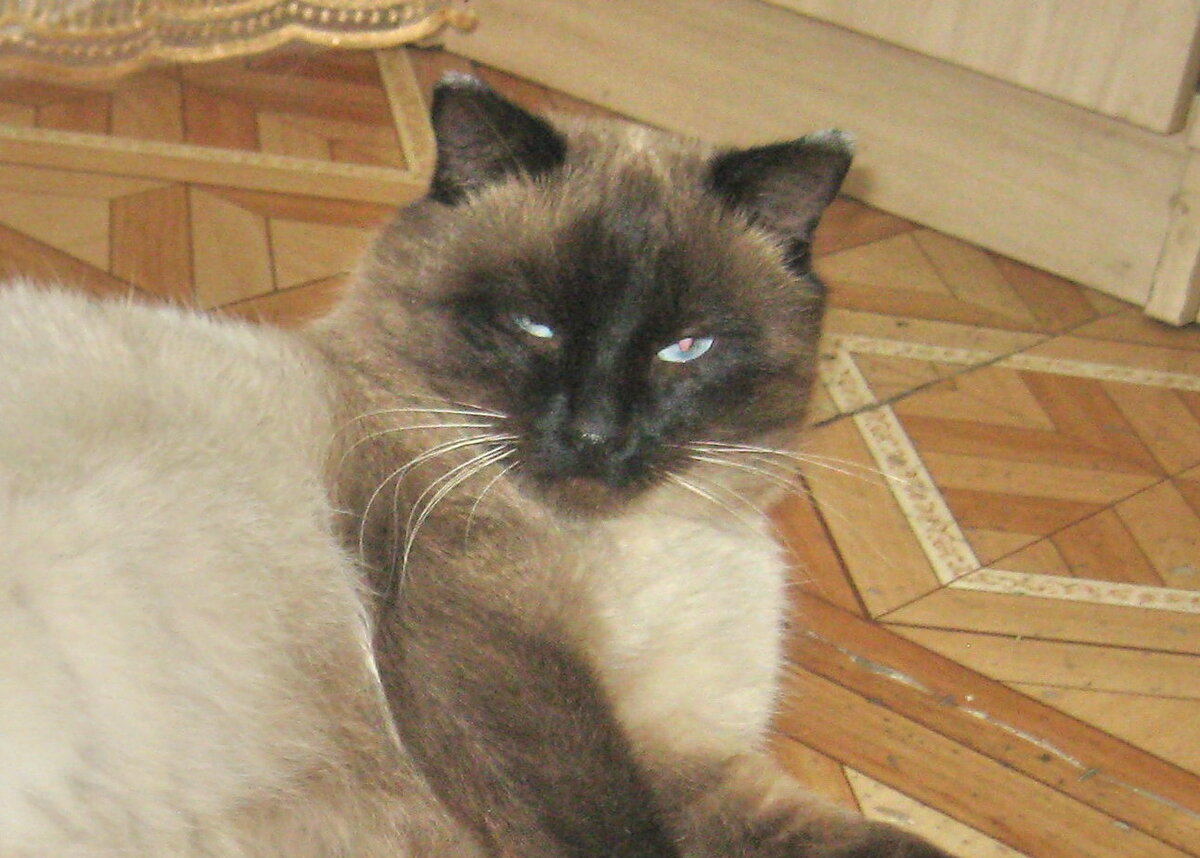 Суровый и брутальный таец Вася