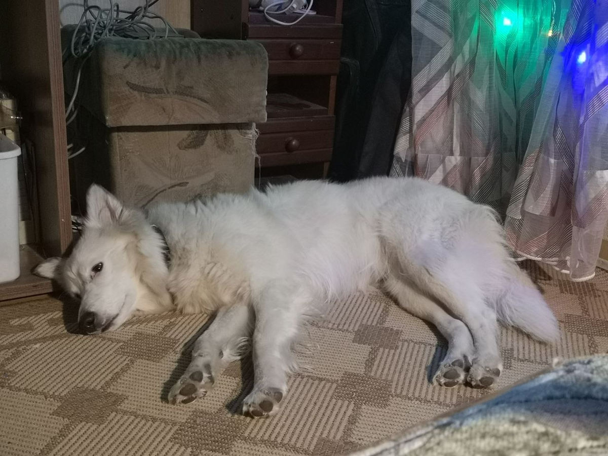 Это я в грустях и тревоге.