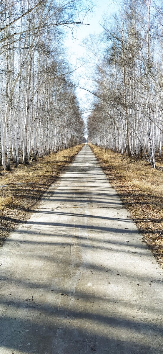 Путь в бесконечность должен выглядеть примерно так