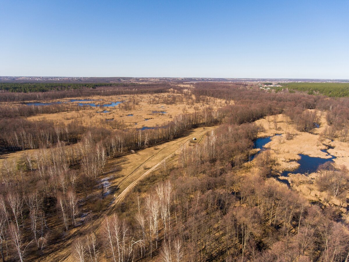 Воронежский Рамонский заповедник