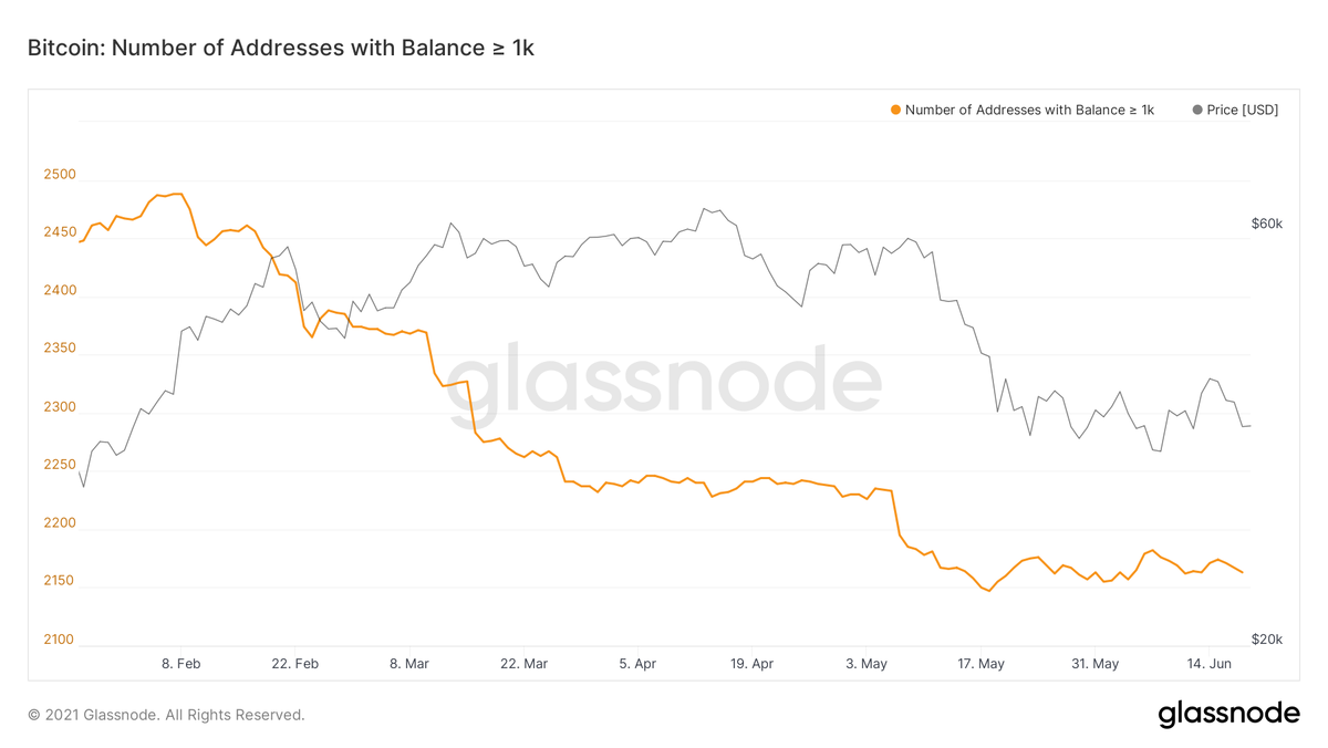 Источник: Glassnode