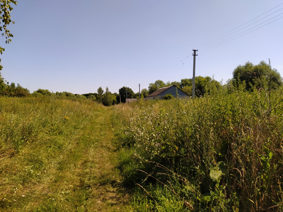 Гагарино. Село Гагарино Липецкая область. Село Гагарино Тульской области. Районы Липецкого района. Липецкая область город Елань Данковский район покажи видео и фото.