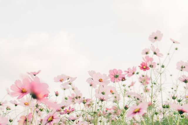 Картинка, просто картинка