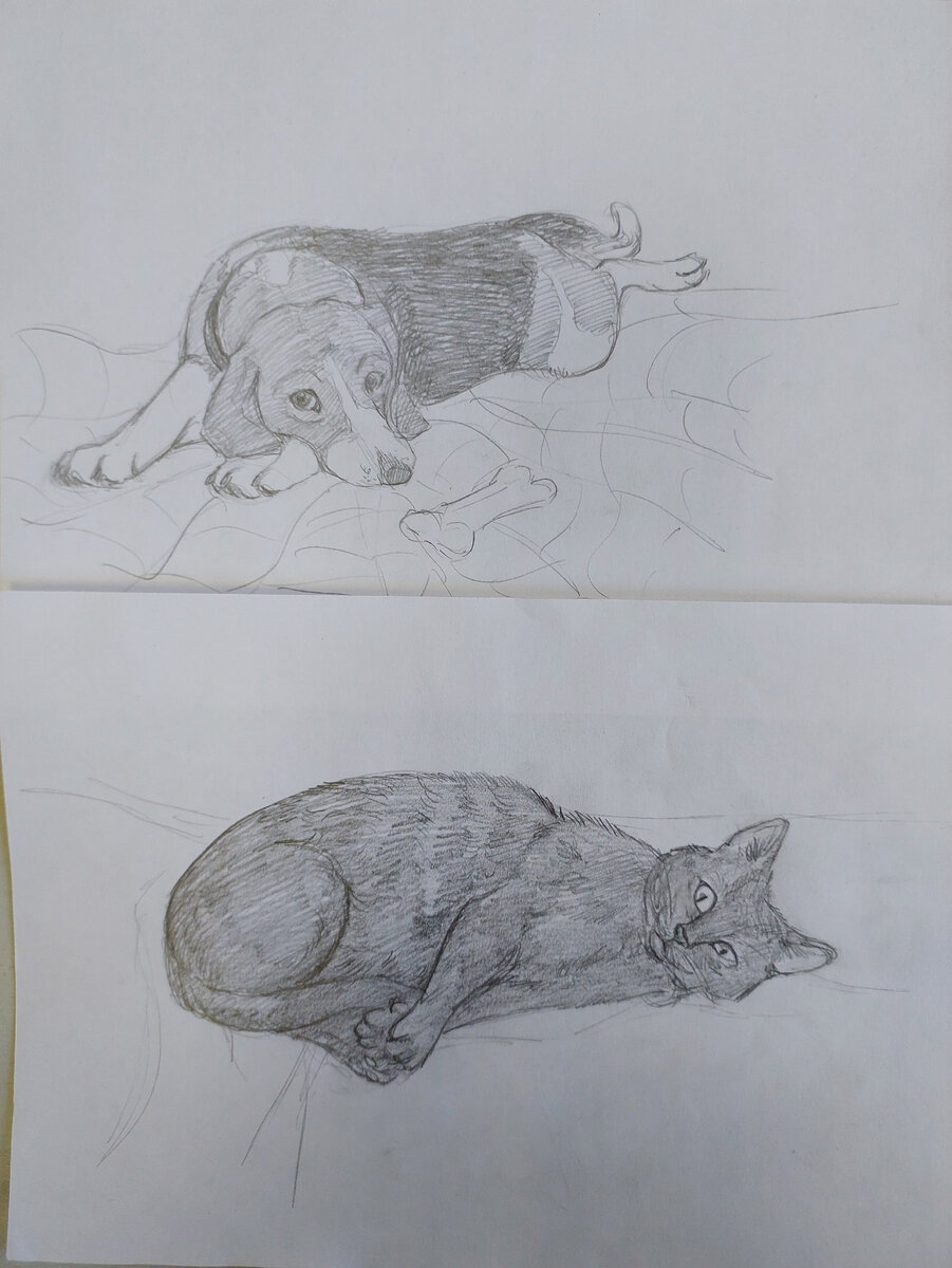 Зарисовки домашних питомцев студентки ХГК. (фото автора канала)