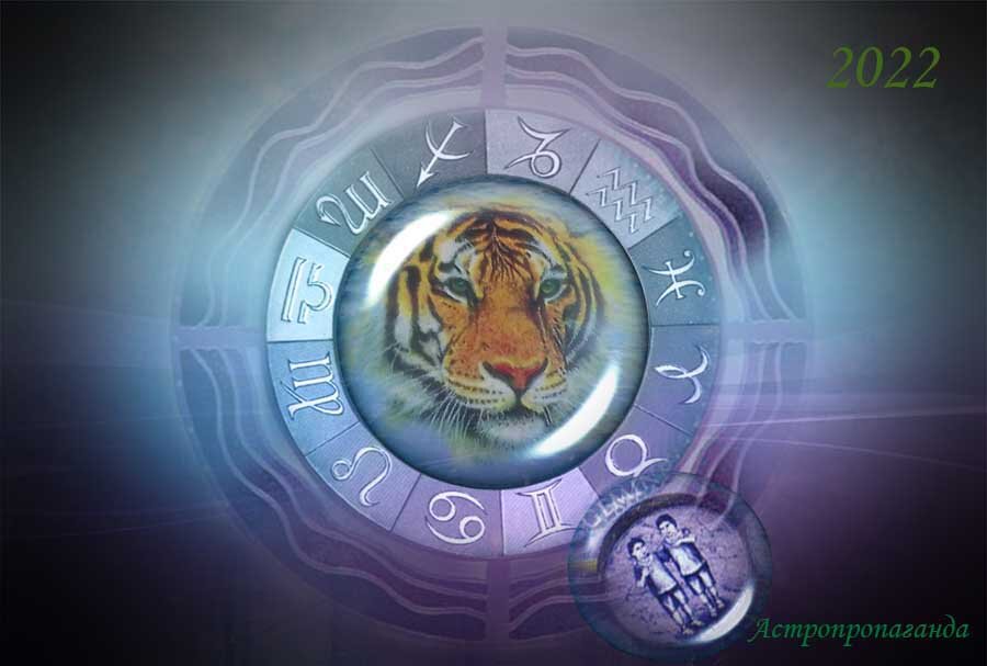 Коллаж Нины Стрелковой. 