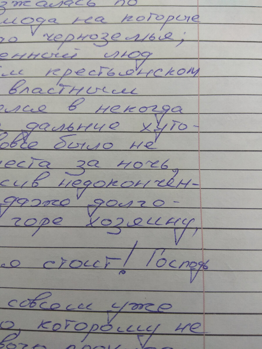 Вернулась с Тотального диктанта: первые впечатления | Люблю читать, люблю  писать | Дзен