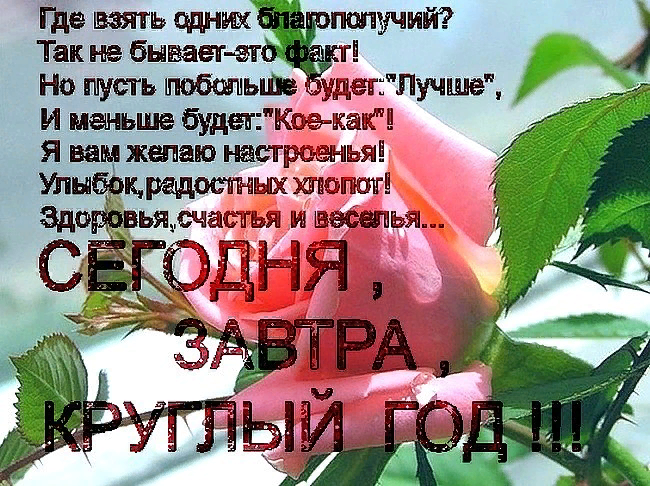 яндекс.картинки
