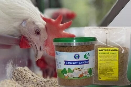 Мясокостная мука для кур: зачем обязательно нужно включать в рацион птицы