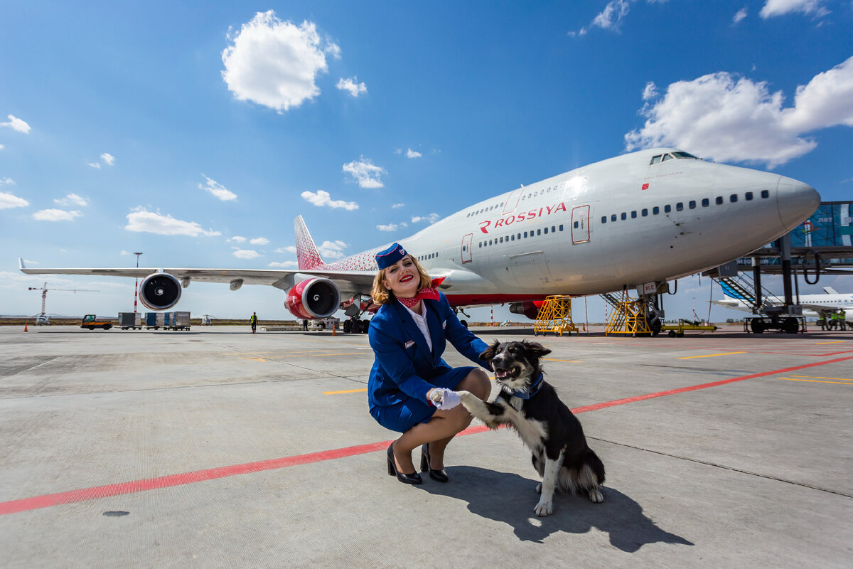 Фото (с) Пресс-служба аэропорта Симферополь 