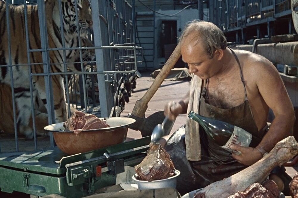 Кадр из фильма "Полосатый рейс" 