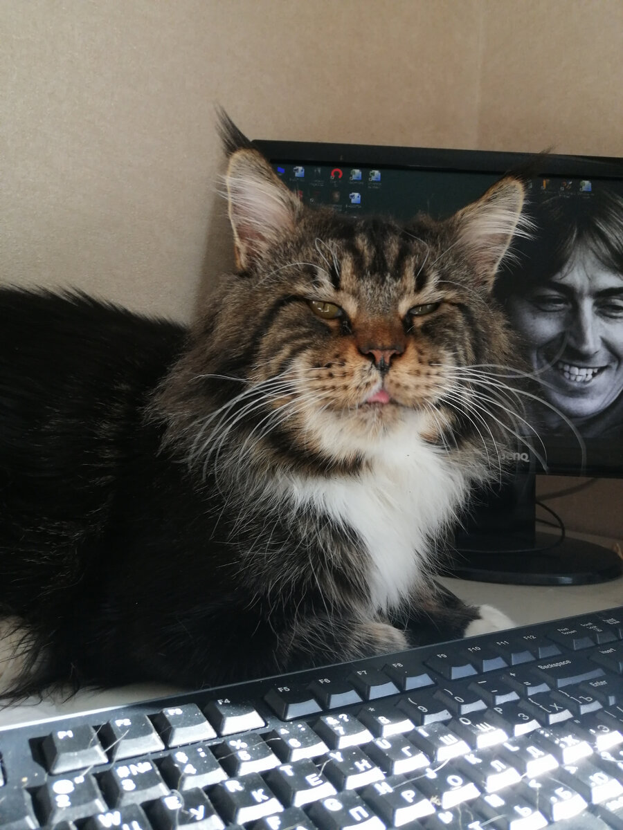 Локи в возрасте 7 лет